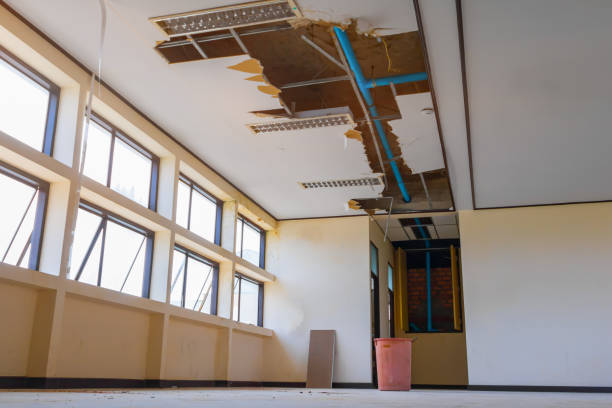 Best Flood restoration services  in Santa Rosa, TX