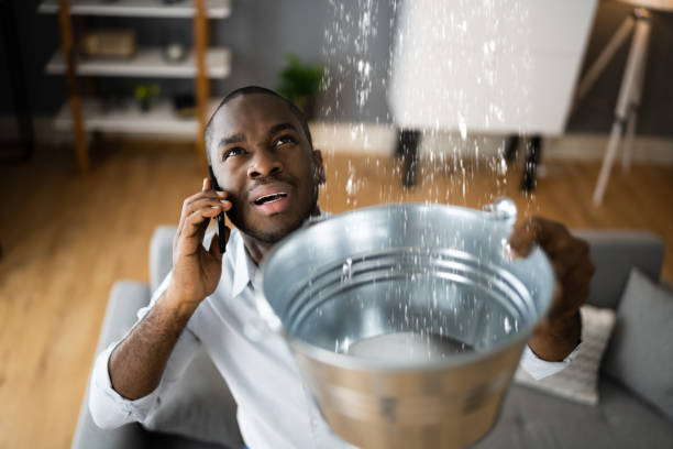 Best Water damage cleanup near me  in Santa Rosa, TX