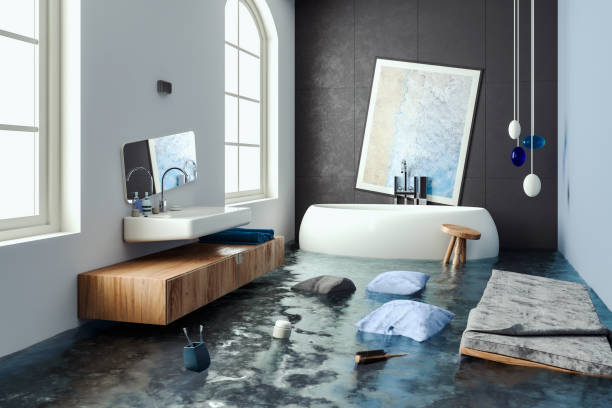 Best Mold removal after water damage  in Santa Rosa, TX