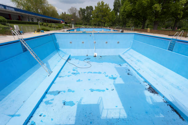 Best Flood damage cleanup  in Santa Rosa, TX
