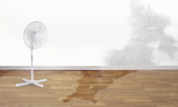 Best Carpet water damage restoration  in Santa Rosa, TX