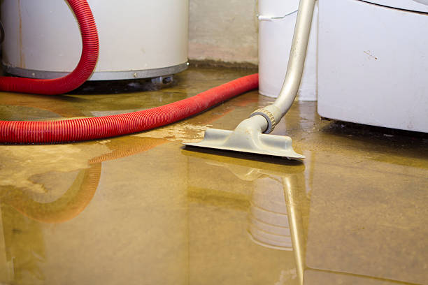 Best 24-hour water damage restoration  in Santa Rosa, TX