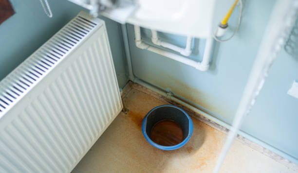 Best Professional water damage repair  in Santa Rosa, TX